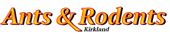 Kirkland Ant Exterminator & Rodent Control Company Logo